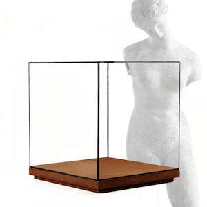 Könnte beinhalten: Eine transparente Glasvitrine mit einem Holzsockel. Die Vitrine hat eine quadratische Form und besteht aus Glasscheiben.