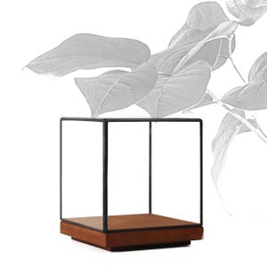 Pode incluir: Um suporte de exibição moderno com uma estrutura quadrada de metal preto e uma base de madeira castanha. O suporte foi projetado para exibir itens decorativos. O fundo apresenta uma imagem desfocada de folhas.