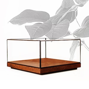 19x19x10,5 cm (7,5x7,5x4,1 inches) - Glass Display Showcase - Tabletop - rust oxidation