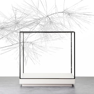 May include: A clear glass display case with a black metal frame and a white base. The case is empty and sits on a gray surface.