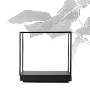 16x16x16 cm (6,3x6,3x6,3 inches)-Glass Display Showcase for jewelry, fossils, or precious objects-tabletop-matt black