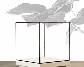 15x15x18 cm (5.9x5.9x7 inches)-Glas Vitrine Schaukasten für Schmuck, Fossilien, oder Kostbare Objekte-Tischplatte-Matt Weiß