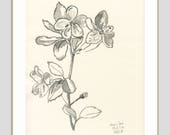 Articles Similaires à Fleur De Cerisier Dessin Original Noir