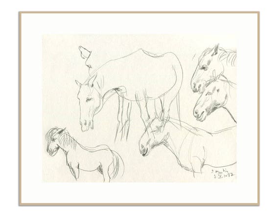 Szkice Ołówkiem Konia Drukowanie Rysunku Konia Badania Ołówkiem Po Koniu Zwierząt Portret Przez Catalina