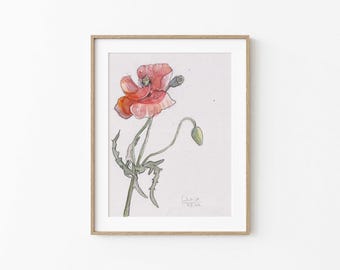 ORIGINAL pencil and watercolor drawing, Red Poppy flowers No.3, A5 paper- 5.8" x 8.3", 14.8 x 21.0 cm