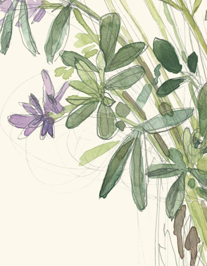Wild flowers Bouquet PRINT pencil and watercolor drawing after wild flowers on the Summer fields botanical wall art by Catalina image 4