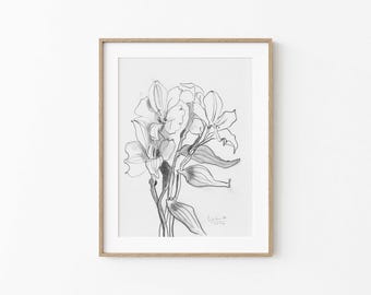 Dibujo original a carboncillo, Lirio de los Incas, papel A5 - 5,8" x 8,3", 14,8 x 21,0 cm