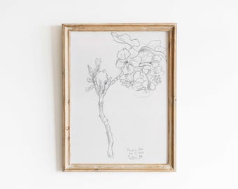 Dibujo original a lápiz, Flor de peral n.° 2, papel A5 - 5,8" x 8,3", 14,8 x 21,0 cm