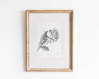 Dibujo original a tinta de una rosa, papel A6 - 10,5 x 14,8 cm (4,13" x 5,83")