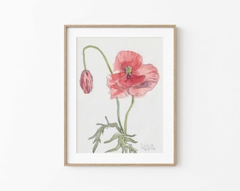 ORIGINAL pencil and watercolor drawing, Red Poppy flowers No.1, A5 paper- 5.8" x 8.3", 14.8 x 21.0 cm