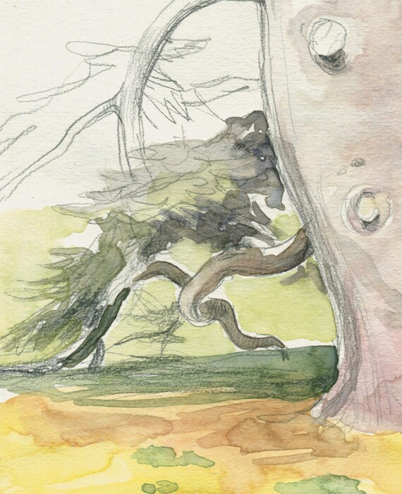 Rysunek Drzewo Druk Akwareli I Ołówka Rysunek Cedar Tree Cedar Tree Print Krajobraz Szkic Przez Catalina