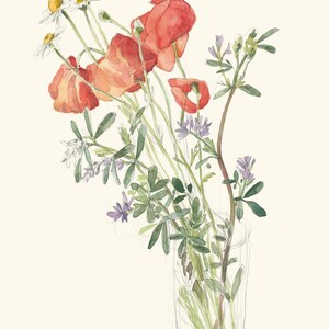 Wild flowers Bouquet PRINT pencil and watercolor drawing after wild flowers on the Summer fields botanical wall art by Catalina image 2