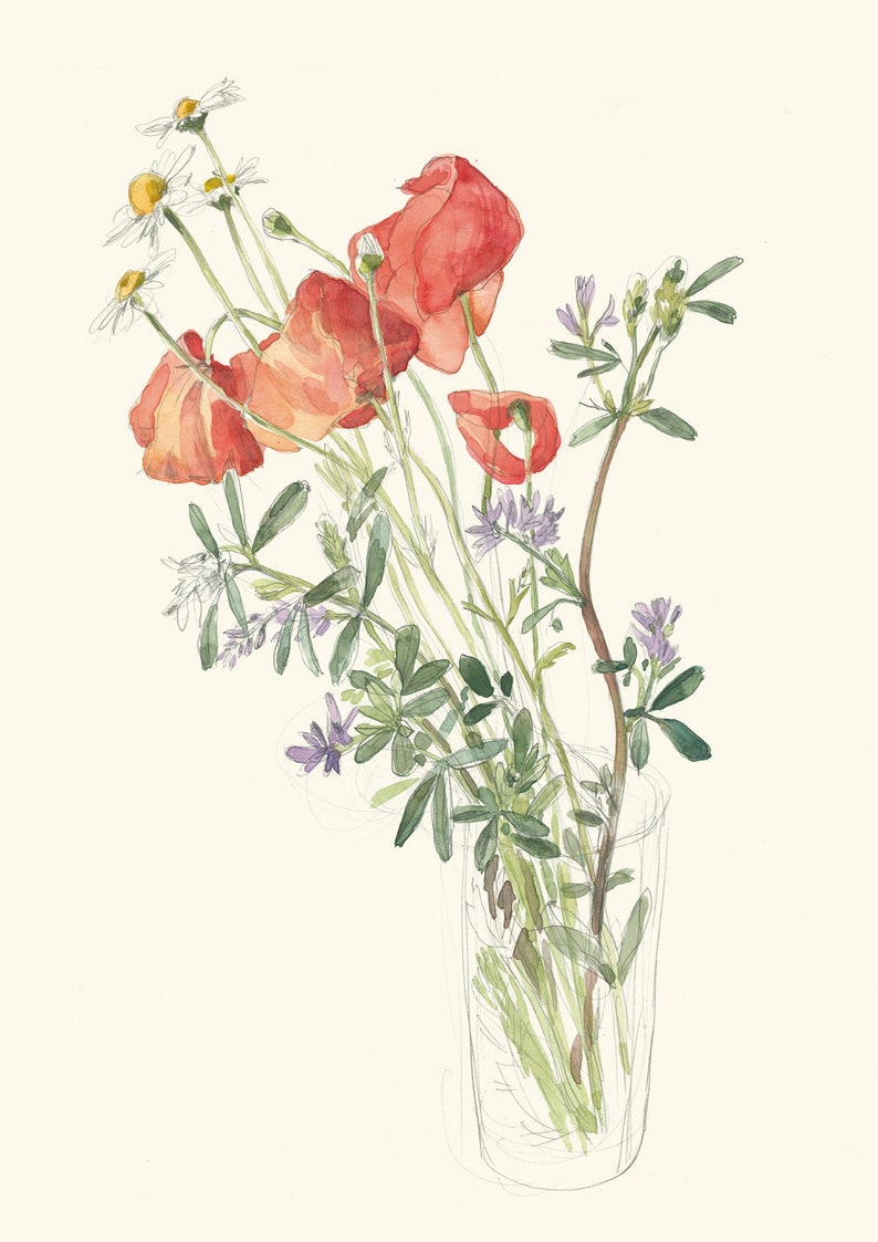 Wild flowers Bouquet PRINT pencil and watercolor drawing after wild flowers on the Summer fields botanical wall art by Catalina image 2