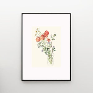 Wild flowers Bouquet PRINT pencil and watercolor drawing after wild flowers on the Summer fields botanical wall art by Catalina image 6