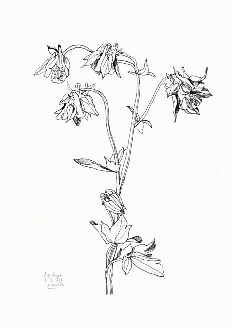 Тату эскиз ботаника