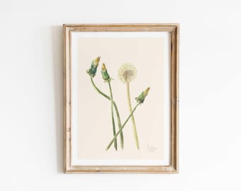 Impresión de diente de león de mi dibujo en acuarela (5x7, 8x10)