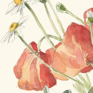 Wild flowers Bouquet PRINT pencil and watercolor drawing after wild flowers on the Summer fields botanical wall art by Catalina image 3