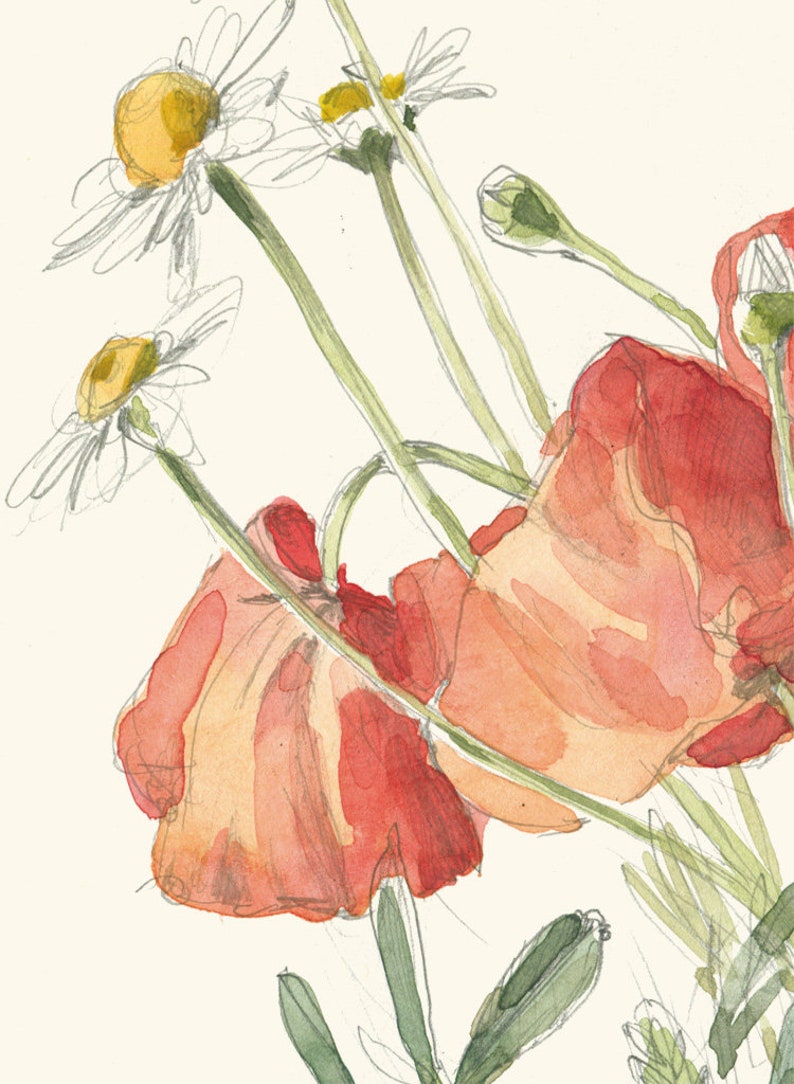 Wild flowers Bouquet PRINT pencil and watercolor drawing after wild flowers on the Summer fields botanical wall art by Catalina image 3