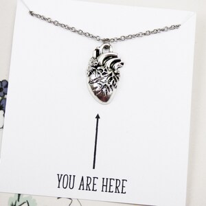 May include: A silver-colored anatomical heart pendant necklace. The pendant hangs from a delicate chain and is displayed on a white card with the text "YOU ARE HERE" and an arrow pointing to the pendant.
