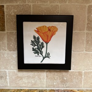 May include: A framed tile with a black frame and a white background. The tile features a hand-painted illustration of a California poppy with green leaves and the signature "Annette Alisa".