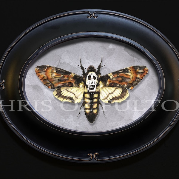 Silence Of The Lambs Death Head Moth Hannibal Framed Art Print By Artist Chris Oz Fulton Signed!!