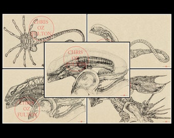 Alien Xenomorph Evolution Series 11x17 Art Prints Signed By Chris Oz Fulton Queen Big Chap Facehugger