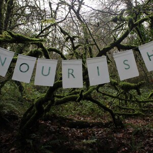 Nourish Banner