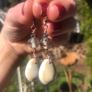 Cowrie shell dangle earrings