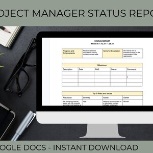 Project Manager Status Report