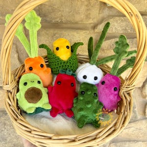 Veggie Plush// Vegetable Plushie
