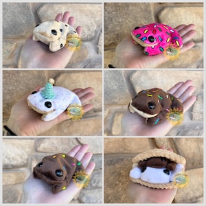 Frog Plush Dessert Series Ready To Ship// Pocket Frog Plushie// Bean Bag Frog// Toad Plushie