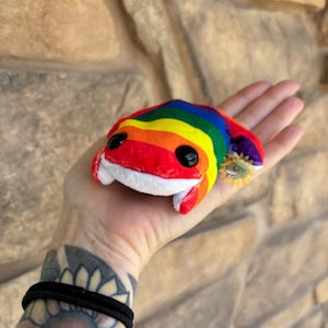 May include: A small plush frog toy featuring a vibrant rainbow-colored back with horizontal stripes of red, orange, yellow, green, blue, and purple. The frog has a white underbelly, large black plastic eyes, and a small logo tag on the side.