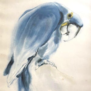 Könnte beinhalten: Ein gerahmtes Aquarellbild eines blauen Papageis mit gelben Akzenten um Auge und Schnabel. Das Kunstwerk ist in einem blauen Passepartout und einem dekorativen goldfarbenen Rahmen mit blattartigem Muster am Rand eingefasst.