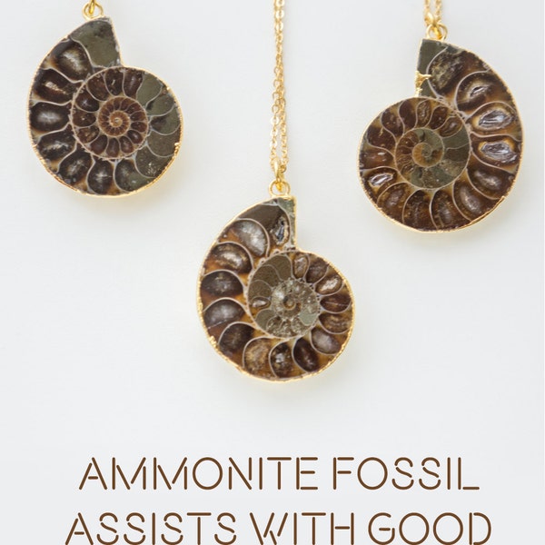 Ammonite Fossil Necklace Boho Necklace Layering Necklace Gold Necklace Gemstone Necklace Gift For Her