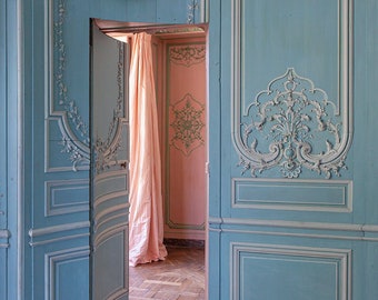Photography of blue and pink salons in an abandoned castle in France