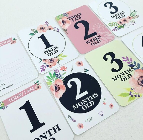 baby milestone cards etsy