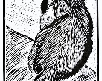 Badger Lino-cut, A3