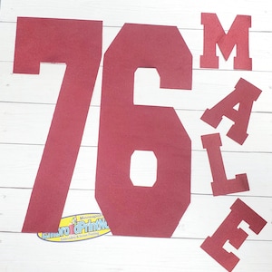 Tackle Twill 10 inches Team Name and Number for Jersey DIY