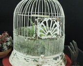 Shabby White Metal Bird Cage Unusual Owl Shaped Clips on Round Base for Display, Decor or Prop - Decorative Dome Top