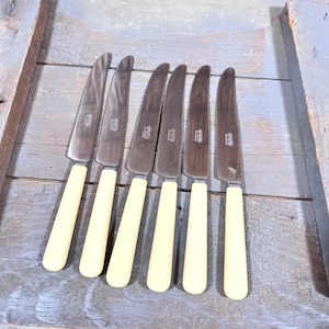 Our Best Stainless Vintage Knives Set of 6 -  Stainless Blades & Faux Bone Handles -  Unusual Interesting Old Knife Collection