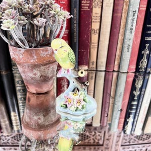 Porcelain Royal Adderley Floral Bird / Parakeet Bone China Figurine - Vintage Ornament Decoration