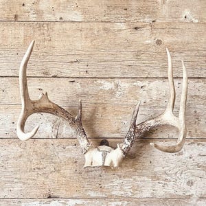 May include: A set of three ceramic mugs with a speckled, matte finish. The mugs are in shades of cream, light gray, and dark gray. Each mug has a simple, minimalist design, perfect for coffee or tea.