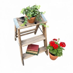 May include: A rustic wooden step stool with three steps, featuring metal accents. A potted ivy plant sits on top, and a stack of books rests on the second step. A terracotta pot with red geraniums is placed to the side.