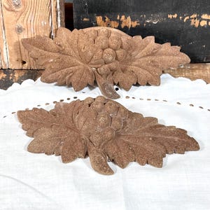 May include: Two brown, textured, carved wall plaques featuring a relief design of grape clusters and large, detailed leaves. These decorative pieces have a matte, earthy finish and are shaped like elongated, symmetrical botanical arrangements.
