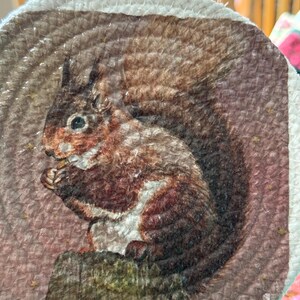May include: Round coaster featuring a detailed illustration of a squirrel holding a nut. The squirrel is depicted in shades of brown, white, and red, set against a pinkish background with small star accents. The coaster has a woven rope border and a small loop for hanging.