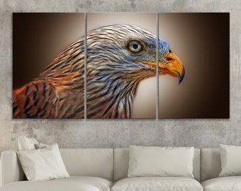 BoxColors LARGE 30"x 60" 3 panels 30x20 Ea Art Canvas Print animal avian bird of prey eagle falcon pride raptor wing Wall decor home N1918