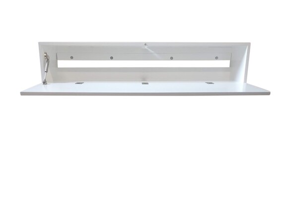 Floating Console With Drop Down Door
