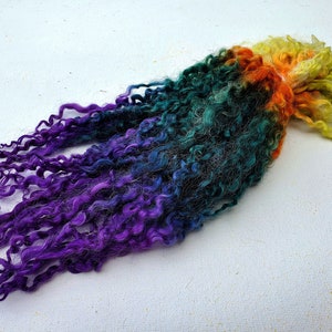 Teeswater locks, curls, 10-12&quot; hand dyed for spinning, knitting, felting batt making and art yarn, 1 oz