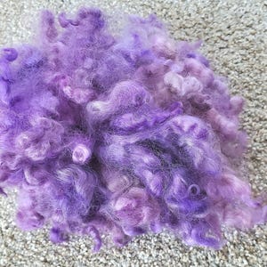 Leicester locks, hand dyed, 5-7&quot; for spinning, knitting, felting and weaving, 1 oz