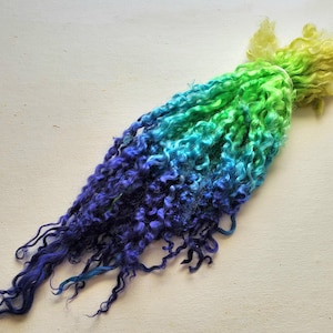 Teeswater locks, curls, 10-14&quot; hand dyed for spinning, knitting, felting batt making and art yarn, 1 oz